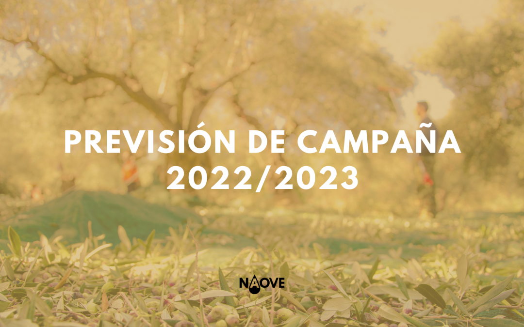 Previsión de la campaña de Aceite de Oliva 2022/2023